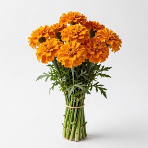 Marigolds