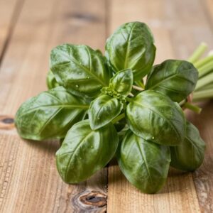 Basil