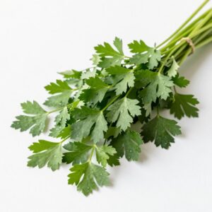 Coriander (Bunch)