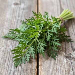 Dill (Bunch)
