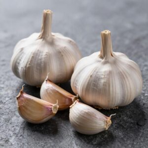 Garlic