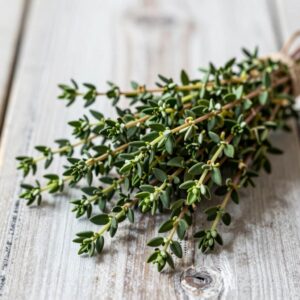 Kuwaiti Thyme