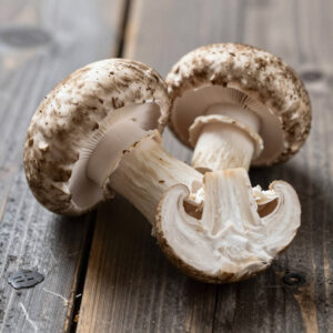 Brown Mushroom (Portobello)