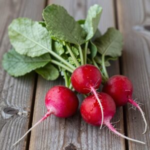 Red Radish