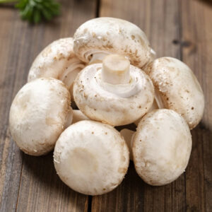 White Mushroom